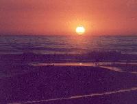 Sunset at dog beach #2