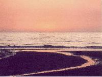 Sunset at dog beach #3